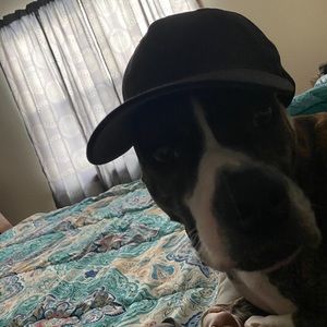 Meet your Posher, Colton